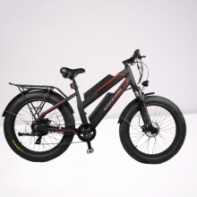 double battery 48V 750W 11.6Ah long range fat tire electric bike